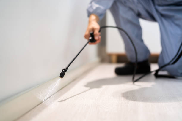 Certified termite inspector examining foundation in Clyde Hill